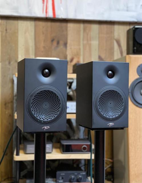 Paradigm Premier 100b, Audio, Tv en Foto, Luidsprekers, Gebruikt, Front, Rear of Stereo speakers, Overige merken, Ophalen