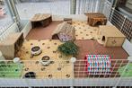 Caviakooi, Dieren en Toebehoren, Kooi, Cavia, Ophalen, Minder dan 60 cm