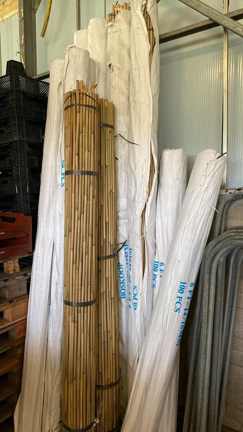 Bamboe stokken (bonenstokken ) stokken voor groente, Tuin en Terras, Planten | Tuinplanten, Overige soorten, Halfschaduw, Bloeit niet