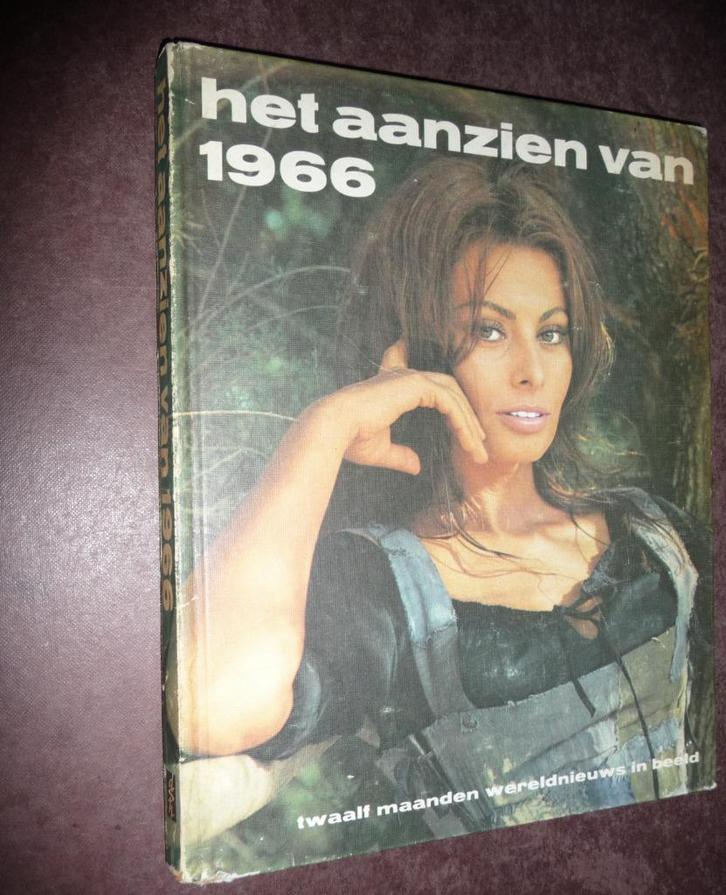 HET AANZIEN VAN 1966-1968-1969-1977-1979-1982-1984, Boeken, Geschiedenis | Wereld, Gelezen, Overige gebieden, Ophalen of Verzenden