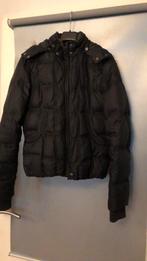 Zwarte gewatteerde jas van Hilfiger Denim - Maat M, Ophalen of Verzenden, Gedragen, Maat 38/40 (M), Zwart