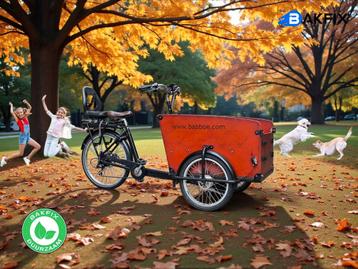 Babboe Big hondenbakfiets met deurtje en certificaat beschikbaar voor biedingen