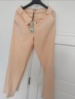 Nieuw mexx dames broekpak, dames pantalon, dames blazer, Kleding | Dames, Broeken en Pantalons, Ophalen of Verzenden, Nieuw, Maat 38/40 (M)