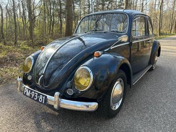 Volkswagen Kever 1200 uit 1965 beschikbaar voor biedingen
