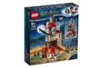 Lego 75980 harry potter aanval op het nest burrow NIEUW, Kinderen en Baby's, Speelgoed | Duplo en Lego, Ophalen of Verzenden, Nieuw