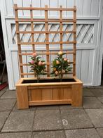 Bloembak net klimrek douglas hout, Tuin en Terras, Ophalen, Nieuw, Rechthoekig, Hout