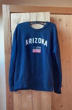 Arizona sweater Brandy Melville style maat s, Kleding | Dames, Blauw, Ophalen of Verzenden, Zo goed als nieuw, Maat 36 (S)