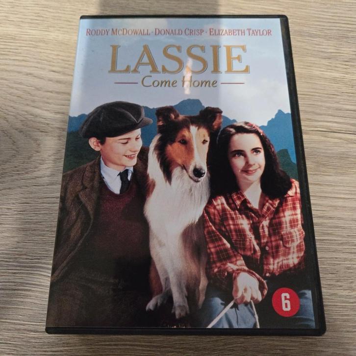 Lassie Come Home, Cd's en Dvd's, Dvd's | Klassiekers, Zo goed als nieuw, 1940 tot 1960, Alle leeftijden, Ophalen of Verzenden