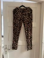 Panterbroek M/L, Maat 38/40 (M), Overige kleuren, Ophalen of Verzenden, Lang