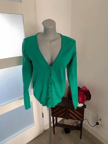 Groen vestje H&M maat M beschikbaar voor biedingen