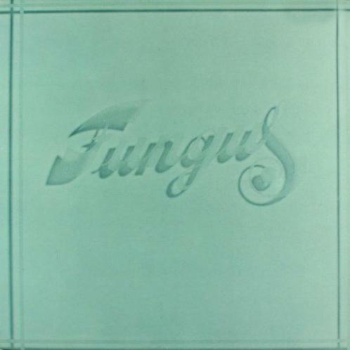 Folk Pop L.P. (1978) Fungus - Fungus, Cd's en Dvd's, Vinyl | Nederlandstalig, Gebruikt, Streekmuziek, 12 inch, Ophalen of Verzenden
