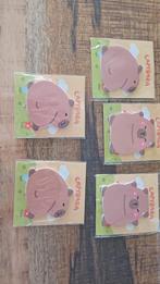 Diverse Capybara artikelen / traktatie, Ophalen of Verzenden, Nieuw, Feestartikel, Overige