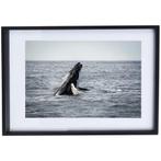 Walvis Poster met Zwarte Lijst, Ophalen of Verzenden, Zo goed als nieuw, Foto of Poster, Minder dan 50 cm