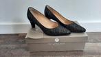 Peter Kaiser Dames Pumps en Clutch Tas Zwart Zemet Set, Peter Kaiser, Pumps, Zwart, Ophalen of Verzenden