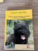 Cairn Terriër, Ophalen of Verzenden, Zo goed als nieuw, Honden
