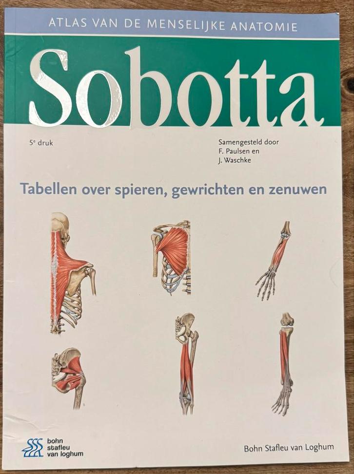 Sobotta Atlas Menselijke Anatomie, tabellen over spieren, 5e, Boeken, Studieboeken en Cursussen, Zo goed als nieuw, HBO, Beta