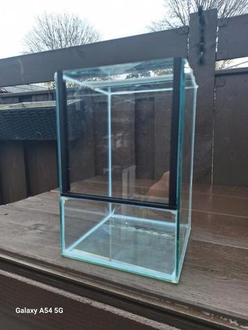 Terrarium, Terrariums  beschikbaar voor biedingen