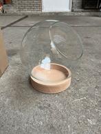 Glas open terrarium, Huis en Inrichting, Ophalen, Halfschaduw, Minder dan 100 cm