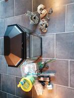 Ciano Aquarium 30 liter met toebehoren, Dieren en Toebehoren, Vissen | Aquaria en Toebehoren, Ophalen, Zo goed als nieuw, Leeg aquarium