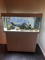 Juwel Aquarium Rio 180 Led 101x41x50 cm, Dieren en Toebehoren, Vissen | Aquaria en Toebehoren, Ophalen, Filter of Co2