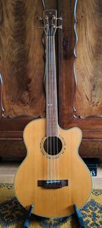 Cort semi akoestische basgitaar, Ophalen of Verzenden, Overige typen