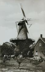 Asperen molen ca. 1975, Verzamelen, Ansichtkaarten | Nederland, Ophalen of Verzenden, 1960 tot 1980, Ongelopen, Gelderland