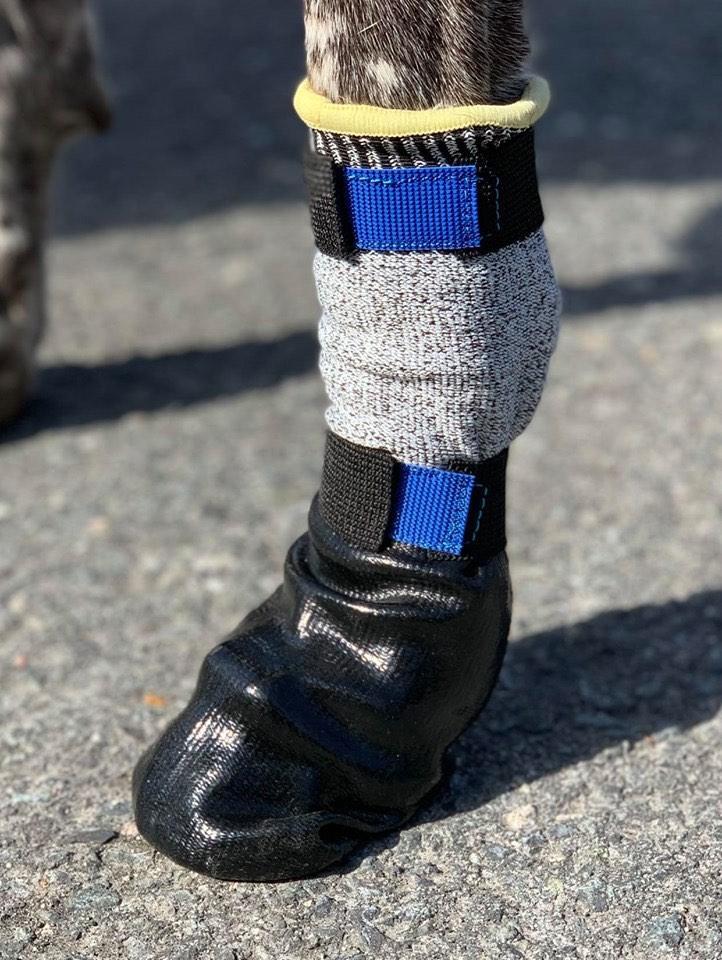 Hoge Hondenschoentjes / booties met rubber coating, Dieren en Toebehoren, Hondenkleding, Zo goed als nieuw, Hondenschoenen, Ophalen of Verzenden