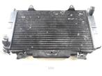 FZR1000 1987 - 1988 Yamaha Radiator D1-37633, Motoren