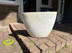 Plantenbak, Tuin en Terras, Bloembakken en Plantenbakken, Ophalen, Gebruikt, Minder dan 60 cm