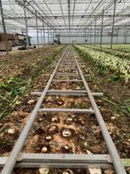 SLA RAILS   TRANSPORT RAILS, Ophalen, Gebruikt, Overige materialen