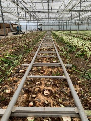 SLA RAILS   TRANSPORT RAILS  beschikbaar voor biedingen
