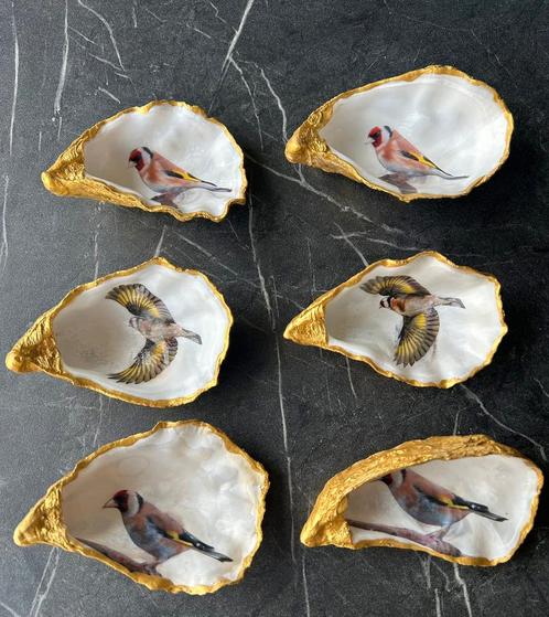 Uniek cadeau je duif in een oester elke duif mogelijk nieuw, Dieren en Toebehoren, Vogels | Duiven