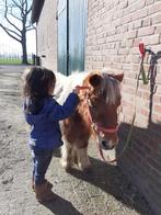 Ponytijd, Dieren en Toebehoren, Ophalen of Verzenden, Nieuw, Dressuur