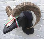 Schedel middelgrote MOEFLON RAM op dubbel eikenhouten schild