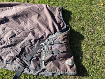 Winterdeken Harry’s horse 205 beschikbaar voor biedingen