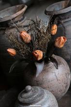 Compleet bosje tulpen, Www.jufbrocante.nl, Www.jufbrocante.nl, Nieuw, Ophalen of Verzenden