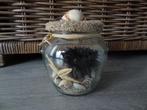 Decoratiepotje Schelpen >Snelle Verzending!<, Ophalen of Verzenden, Zo goed als nieuw