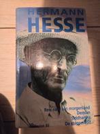 Hermann Hesse Klassieker, Ophalen of Verzenden, Zo goed als nieuw, Hermann Hesse, Kunst en Cultuur
