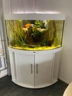 Juwel hoek aquarium, Dieren en Toebehoren, Vissen | Aquaria en Toebehoren, Ophalen, Gebruikt, Leeg aquarium