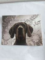 HOND   -    WANNEER ZIE IK JE WEER?, Ophalen of Verzenden