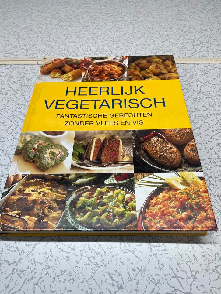 Heerlijk Vegetarisch Kookboek - Fantastische Gerechten!, Boeken, Kookboeken, Gelezen, Voorgerechten en Soepen, Europa, Vegetarisch