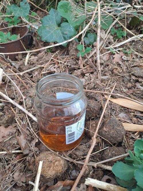 Gratis slakken vangen in potje bier, Tuin en Terras, Bestrijdingsmiddelen, Ongediertebestrijding, Ophalen