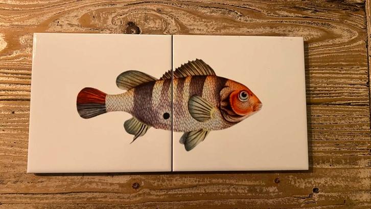 Stenen Vis Schilderij, Antiek en Kunst, Antiek | Wandborden en Tegels, Ophalen of Verzenden