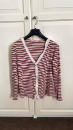 Gestreept vest maat M van Transfer roze,grijs,wit, Maat 38/40 (M), Overige kleuren, Ophalen of Verzenden, Zo goed als nieuw