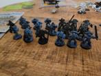 Space Wolves - Blood Claws & Grey Hunters, Hobby en Vrije tijd, Wargaming, Gebruikt, Figuurtje(s), Ophalen of Verzenden, Warhammer 40000