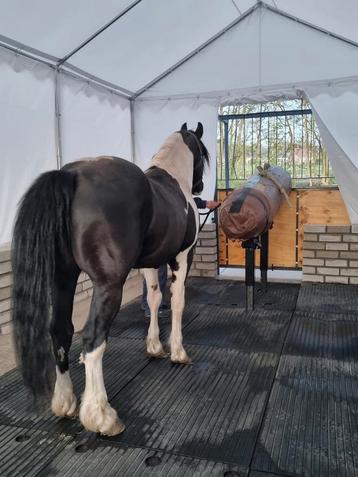 𝗣𝗮𝗿𝘁𝗻𝗲𝗿 𝗶𝗻 𝗞𝗜 &𝗠𝗲𝗿𝗿𝗶𝗲𝗯𝗲𝗴𝗲𝗹𝗲𝗶𝗱𝗶𝗻𝗴 beschikbaar voor biedingen