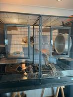 Mooie grote kooi voor knaagdieren of vogels, Ophalen, Kooi, 110 cm of meer, Zo goed als nieuw