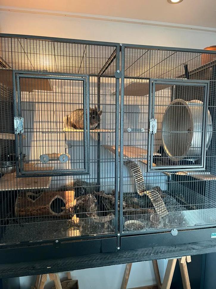 Mooie grote kooi voor knaagdieren of vogels, Dieren en Toebehoren, Knaagdieren en Konijnen | Hokken en Kooien, Zo goed als nieuw