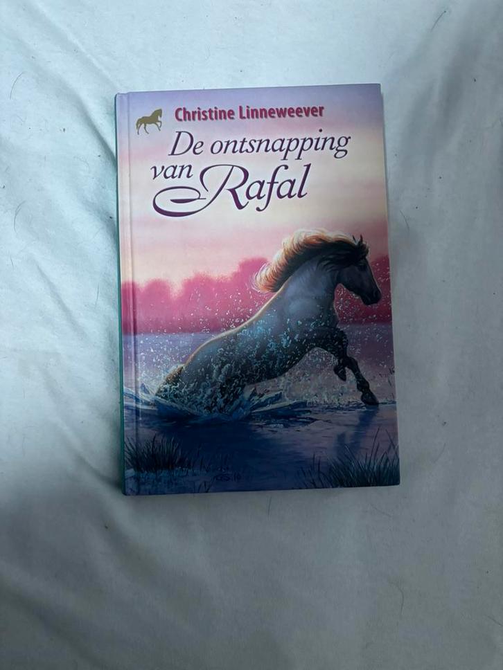 Christine Linneweever - De ontsnapping van Rafal, Boeken, Kinderboeken | Jeugd | 10 tot 12 jaar, Zo goed als nieuw, Ophalen of Verzenden