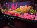 Oase highline opticwite 400, Dieren en Toebehoren, Vissen | Aquaria en Toebehoren, Ophalen, Filter of Co2